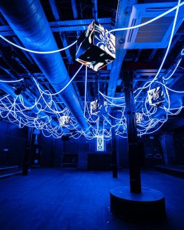 Flex neon 360 – 10m